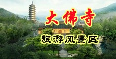 骚逼被肏国产剧中国浙江-新昌大佛寺旅游风景区
